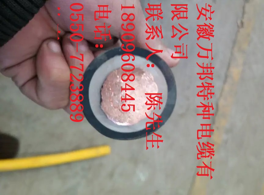 늺C(j)Ѿ(xin)